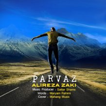 دانلود آهنگ جدید علیرضا زکی به نام پرواز